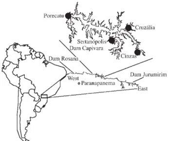Figure 1 - Map of the River Paranapanema with designated collection sites.