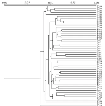 Figure 2 - Genetic similarity dendrogram generated with the Jaccard coef- coef-ficient and UPGMA algorithm for A