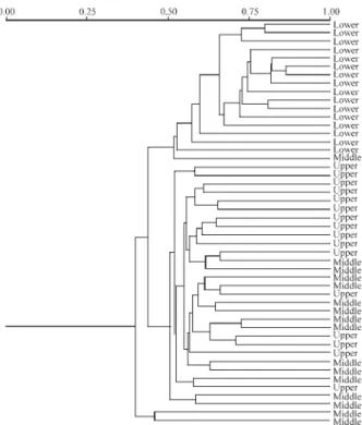 Figure 3 - Proportion of RAPD polymorphic loci (95% criterion) with sig- sig-nificant differences (by G-test) in allele frequencies between A.