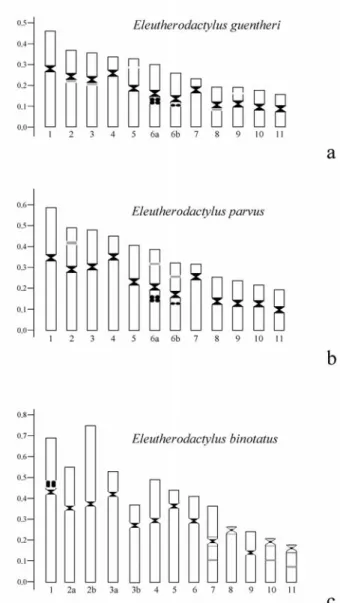 Figure 5 - Ideograms of the karyotypes of E. guentheri (a), E. parvus (b) and E. binotatus (c)