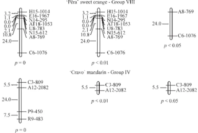 Figure 1 - Partial linkage map of Citrus showing the effect of excluding markers with a skewed segregation that are positioned at the extremities of the linkage groups of C