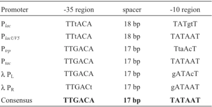 Table 1 - DNA sequences of promoters used in expression vectors recognized by the housekeeping sigma factor σ 70.