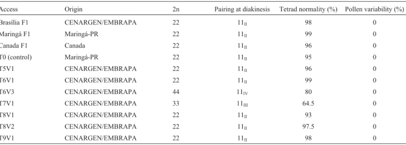Table 1 - Chromosome number (2n), pairing at diakinesis, tetrad normality and pollen viability (%) in strains of Stevia rebaudiana (Bertoni) Bertoni.