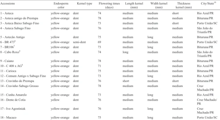 Table 1 - Accessions of maize studied, morphological characteristics and locality.