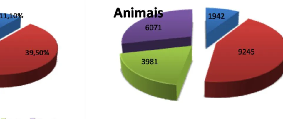 Gráfico 1 – Efectivo total controlado pelo ADS Baixo Tejo  (ADS Baixo Tejo, 2009b)