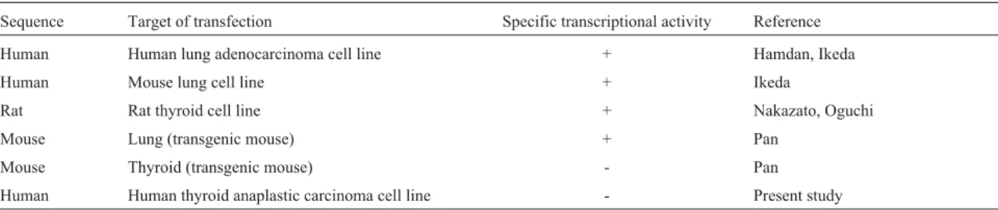 Table 1 - Summary of the transcriptional activity of the 5’ flanking region of the TTF-1 gene described in the present and previous studies.