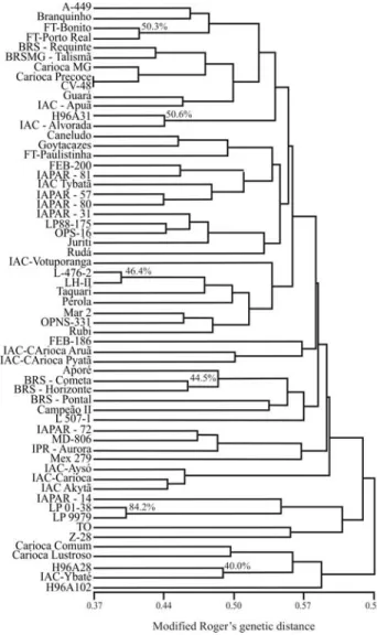 Figure 3 - UPGMA dendrogram for the 60 carioca common beans based on AFLP data. Genetic similarity values were calculated using Jaccards coefficient.