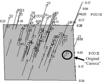Figure 4 - Principal coordinate analysis (PCO) for the SSR data of the 60 carioca common bean accessions