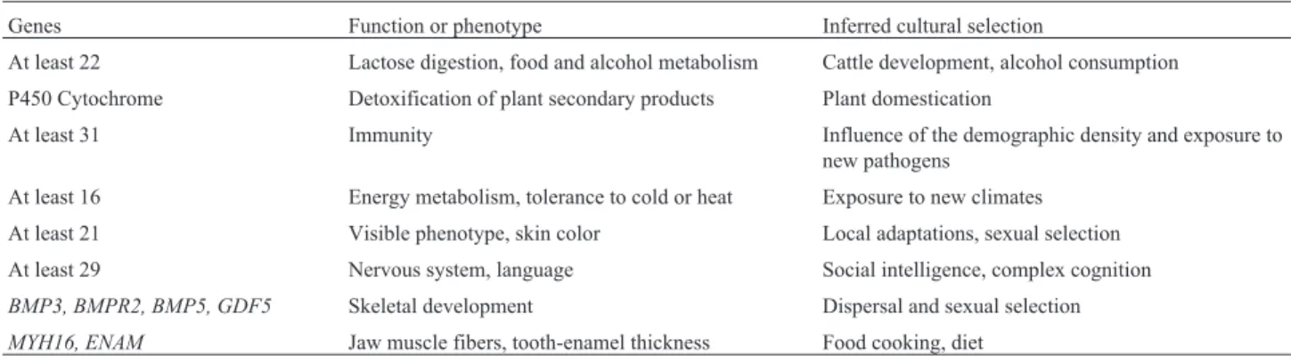 Table 4 - Genes identified as subjected to fast positive selection and inferred cultural selection.