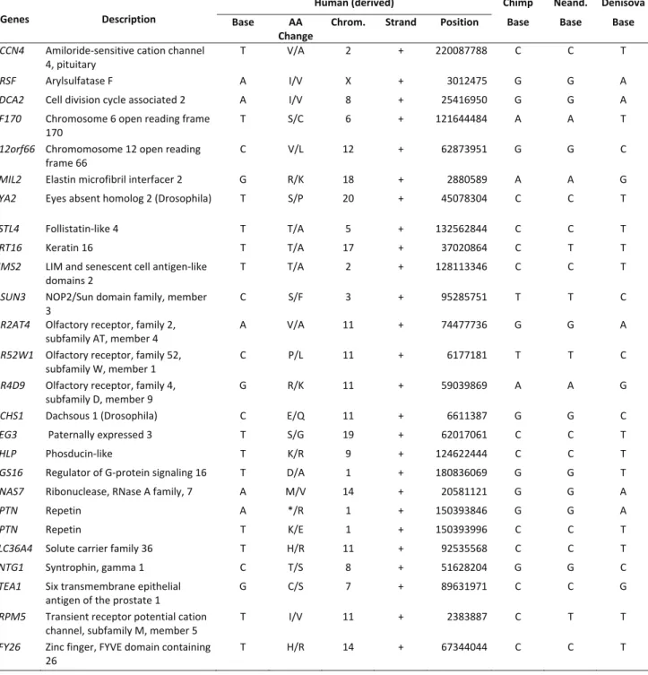 Table S1- Amino acid changes determined by derived alleles  present in extant humans and Denisova  Genes Description 