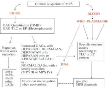 Figure 2 - Proposed flow-chart for the laboratory diagnosis of MPS (dashed line indicates that test is optional for diagnosis)