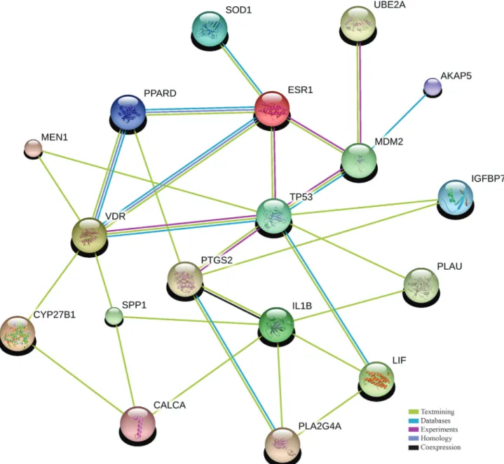Figure 1 - Eighteen genes of the TP53 Fertility Network. Image created by STRING Software 9.0 with high confidence score (0.7)
