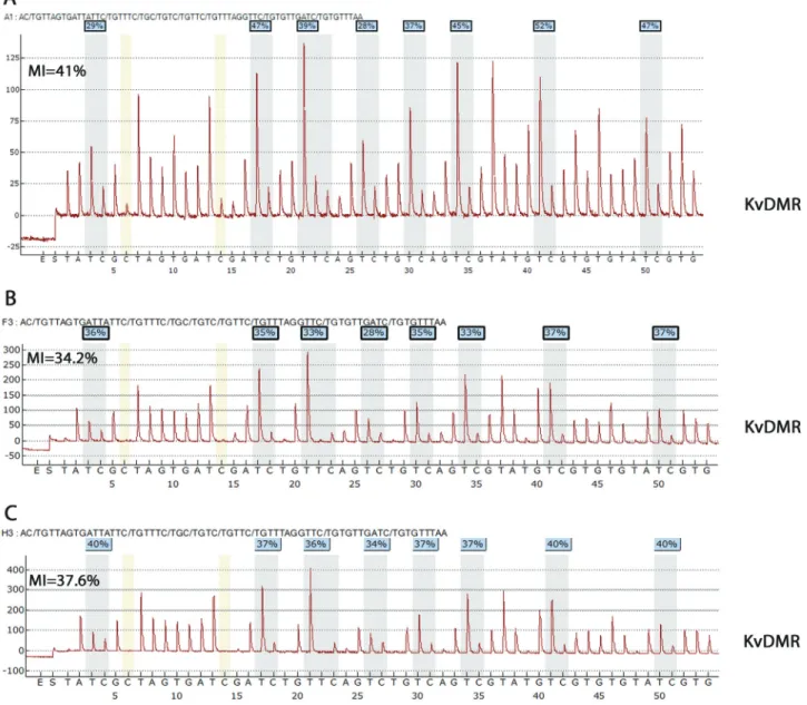 Figure 2 - Pyrogram showing normal methylation of KvDMR. (A) P2 blood sample (average MI = 41%), (B) P35 blood sample (average MI = 34.2%) and (C) healthy control blood sample (average MI = 37.6%)