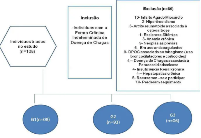 Figura 2: Diagrama de inclusão dos indivíduos no protocolo 