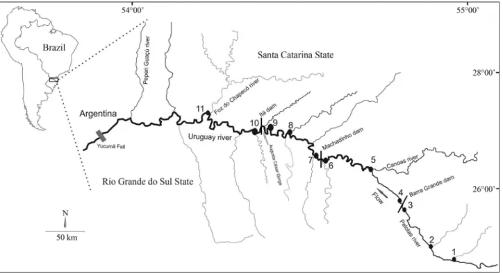 Figure 1 - Samples were obtained from four regions in Upper Uruguay River Basin: BG – upstream of the Barra Grande dam (sites 1-3; n = 52), MA – downstream of the Barra Grande dam and upstream of the Machadinho dam (sites 4-5; n = 60), IT – downstream of t