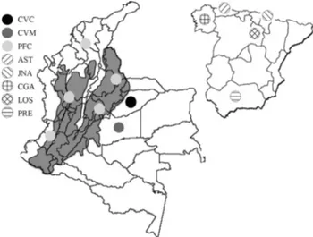 Figure 1 - Geographic location of the Colombian (the shaded areas corre- corre-spond to the three Colombian mountain chains) and Spanish horse breed samples