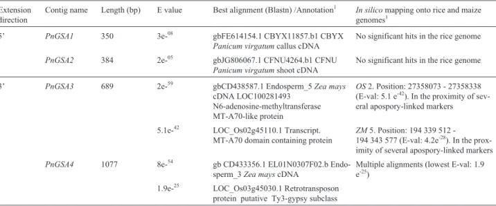 Table 2 - Characterization of P. notatum genomic contigs derived from extension of the apospory-specific marker PnMAI3.