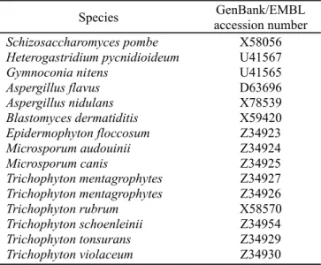 Table 1. 18S-rDNA sequences of isolates used for the construction of primers for genomic amplification of Trichophyton isolates.