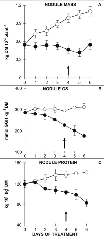 Figure 4. Nodule  mass (A), glutamine synthetase activity (B) and soluble protein concentration (C) in drought stressed ( ! ___
