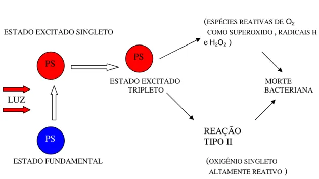 Fig. 1. Mecanismo de ação da terapia fotodinâmica 