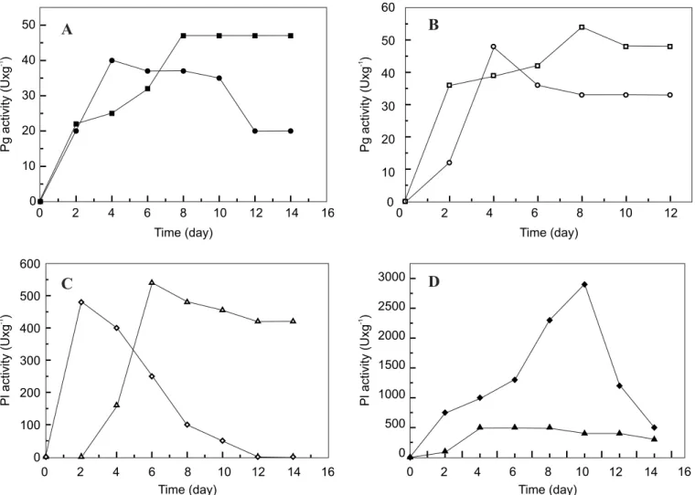 Figure 1. Pectinase production by Penicillium viridicatum in orange bagasse and wheat bran mixture (1:1)