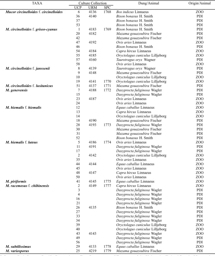 Table 1. Taxa and identification number of the isolates in the Culture Collections of UCP, URM and SPC, indicating the herbivores animal origin.
