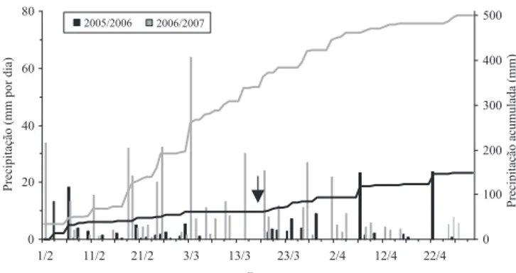 Figura 2.  Precipitação diária (barras) e acumulada (linhas)  durante o período de maturação das bagas da videira (Vitis  vinifera  L.) em São Joaquim, SC, nos ciclos 2005/2006 e  2006/2007
