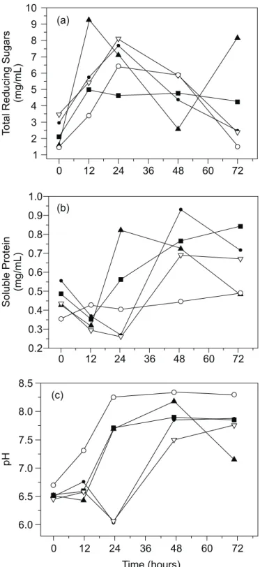 Figure 1. Cultivation time course for bioreactor SSC at 37ºC and 150 mL air/min. (a) total reducing sugar; (b) soluble protein;
