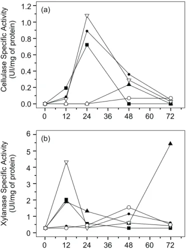 Figure 3. Specific enzyme activities of (a) Cellulase, and (b) Xylanase throughout SSC of IFSR at 37ºC and 150 mL air/min.