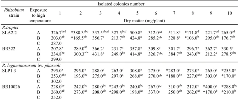 Table 1. Dry matter of bean plants inoculated with isolated colonies of R. leguminosarum bv