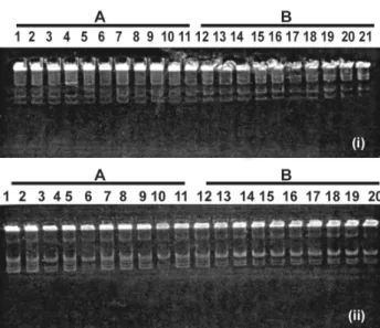 Table 2. Average variation in AP-PCR profiles of ten colonies isolated from Rhizobium sp strains, before (A) and after (B) high temperature exposure, with three different primers.
