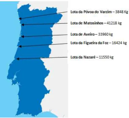 Figura 4-  Quantidade  de  faneca  vendida  no mês  de  novembro  (dados  gentilmente  cedidos pela  Estatística  Doca Pesca -Portos e Lotas)