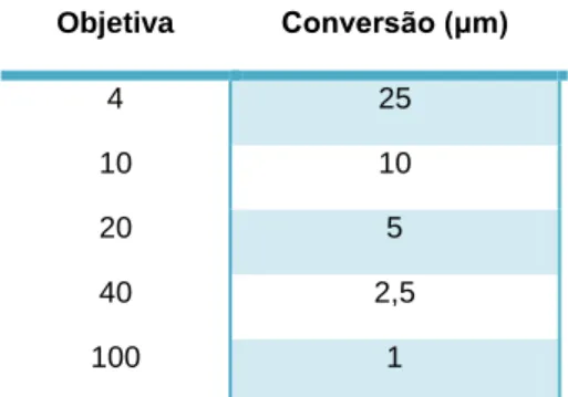 Tabela 5- Escala de conversão. 