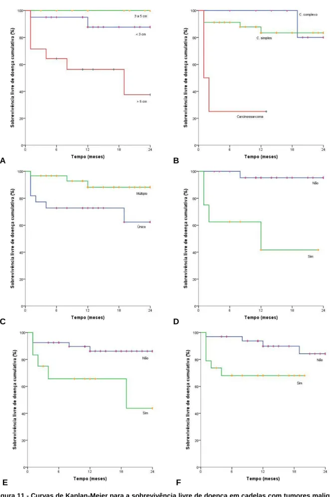 Figura 11 - Curvas de Kaplan-Meier para a sobrevivência livre de doença em cadelas com tumores malignos
