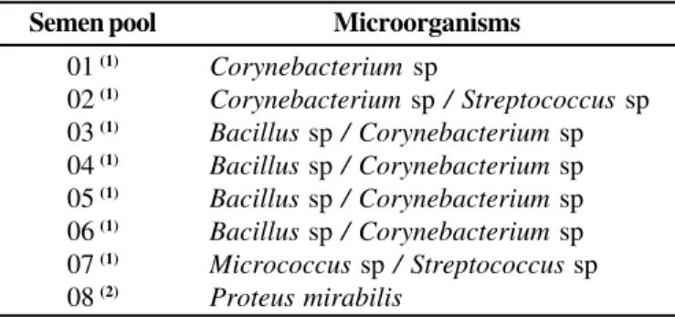 Table 3. Microorganisms other than leptospire, found in bovine semen, according to the batch