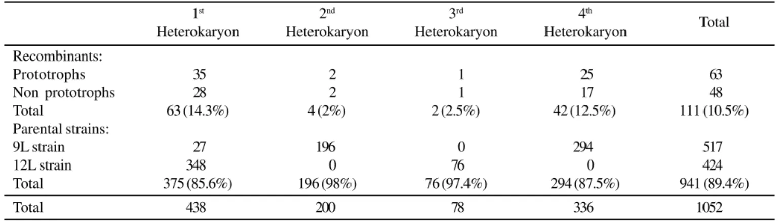 Table 1. Somatic recombination frequencies in the heterokaryons from crossings between 9L and 12L parental strains (number of recombinant colonies/total number of colonies analyzed).