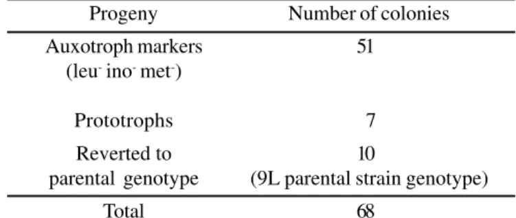 Table 2: Auxotroph markers showed by the recombinants colonies after four generations of subculture.