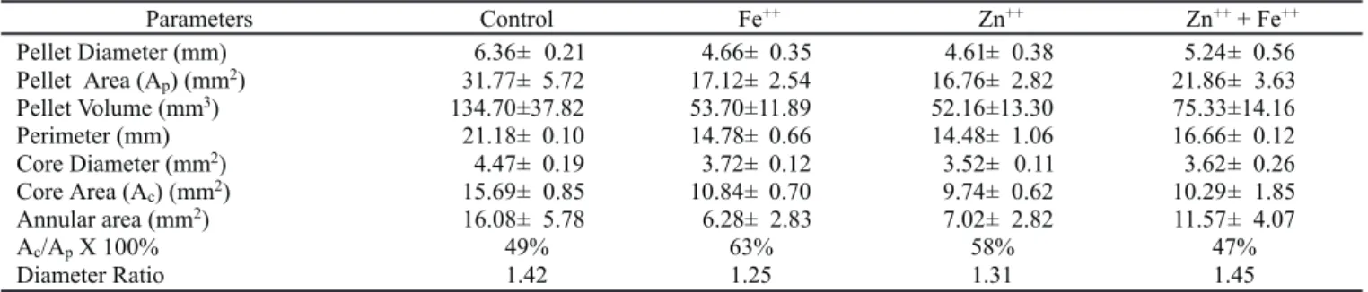 Table 4. Main parameters measured and calculated by image processing.