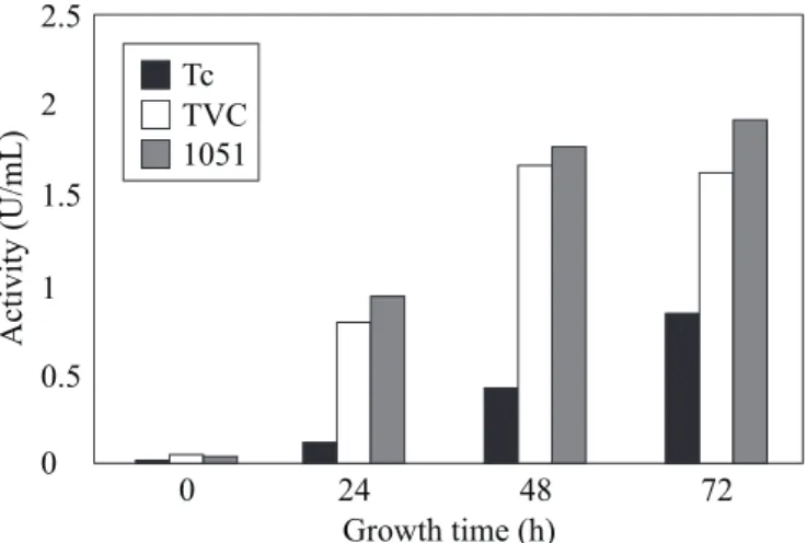 Figure 4. Protease activity in the culture medium of Trichoderma harzianum isolate 1051,  Trichoderma sp