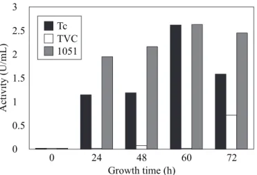 Figure 5. Amylase dextrinizing activity in the culture medium of Trichoderma harzianum isolate 1051, Trichoderma sp