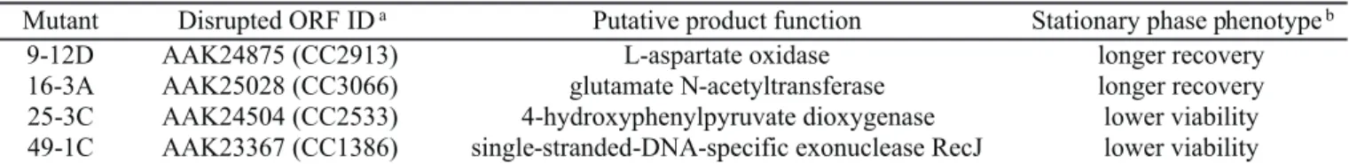 Figure 1. Schematic representation of the genomic regions containing the disrupted genes in each mutant strain