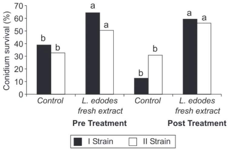 Figure 2. Radioprotector effect of dehydrated L. edodes and A.