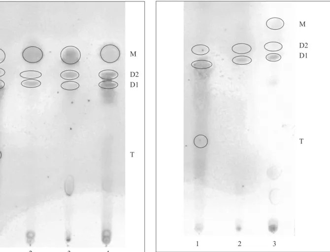 Figure 4. Thin-layer Chromatography of enzymatically hydrolyzed cutin products.