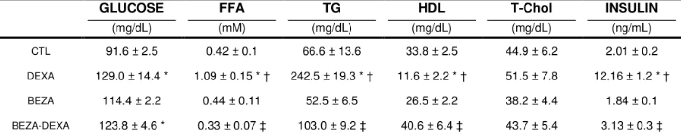 Table 2: Blood Glucose and Serum Parameters obtained in fasting rats in the control  (CTL)  group,  dexamethasone-treated  (DEXA),  bezafibrate-treated  (BEZA),  and  bezafibrate and dexamethasone-treated (BEZA-DEXA) rats