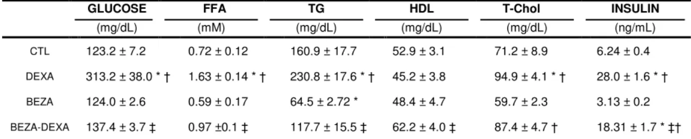 Table  3:  Blood  Glucose  and  Serum  Parameters  obtained  in  fed  rats  in  the  control  (CTL)  group,  dexamethasone-treated  (DEXA),  bezafibrate-treated  (BEZA),  and  bezafibrate and dexamethasone-treated (BEZA-DEXA) rats 