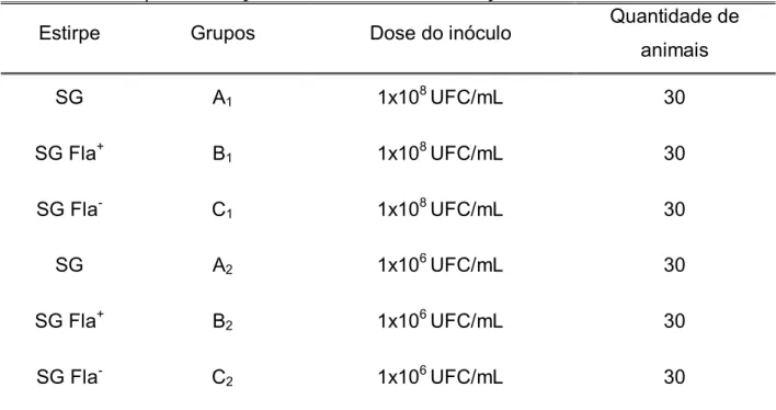 Tabela 1. Grupos de animais desafiados com SG, SG Fla +  e SG Fla - no quinto de  vida para avaliação de sinais clínicos, excreção fecal e mortalidade