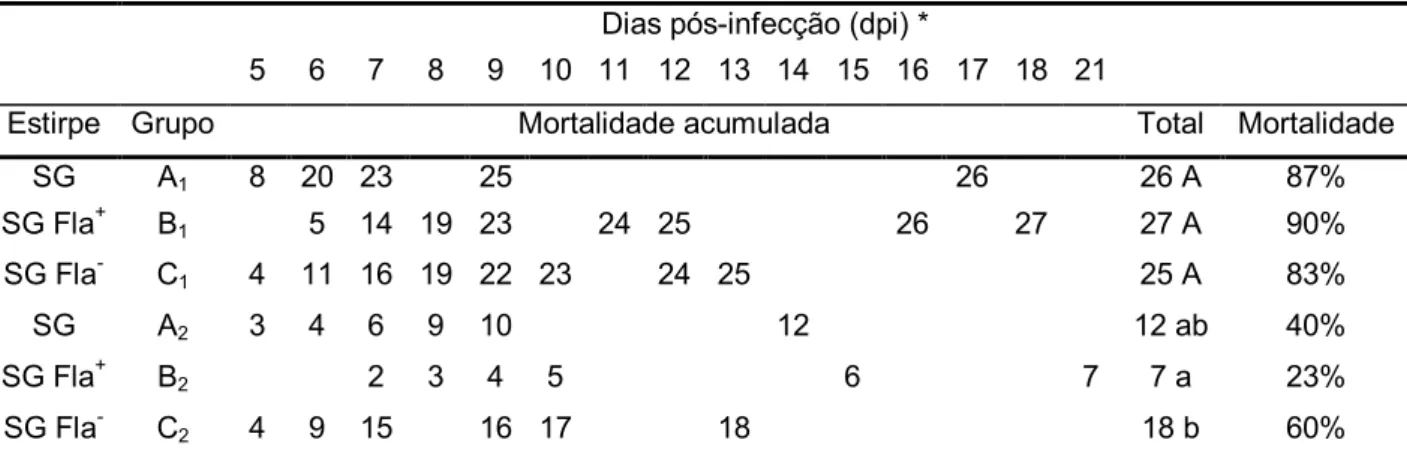 Tabela  3.  Mortalidade  das  aves  desafiadas  experimentalmente  com  as  estirpes  SG,    SG Fla +  e SG Fla -  aos cinco dias de vida, em grupos contendo 30 animais