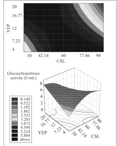 Figure 2. Contour curve and response surface for the glucosyltransferase activity as a function of CSL and SCM concentrations, according to the first experimental design.