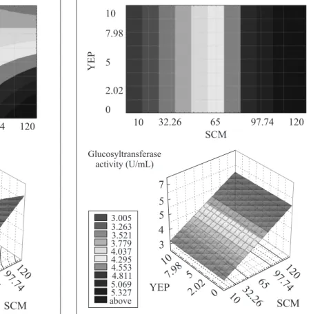 Figure 5. Contour curve and response surface for the glucosyltransferase activity as a function of YEP and SCM concentrations, according to the second experimental design.