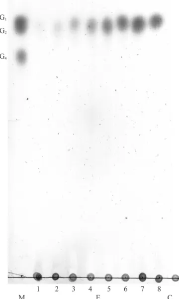 Figure 5. TLC chromatogram of hydrolysis products of mutan obtained with mutanase preparation from T